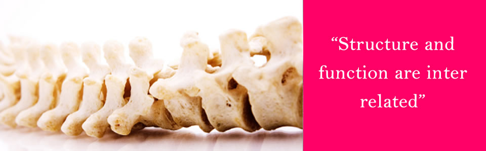 baner